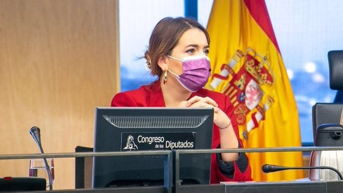 La secretaria de Estado de Igualdad y contra la Violencia de Género, Ángela Rodríguez, en el Congreso