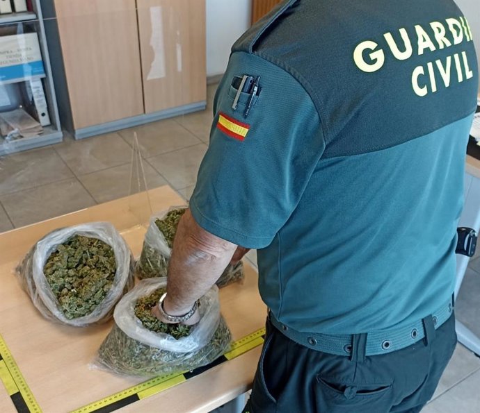 Marihuana intervenida en Felanitx.