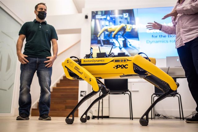 El CEO de Plain concepts, Pablo Peláez (d), y el responsable de innovación en España de Plain Concepts, Javier Cantón (i), presentan al perro robot Spo de Boston Dynamics en las oficinas de Plain Concepts, a 26 de octubre de 2021, en Madrid, (España).