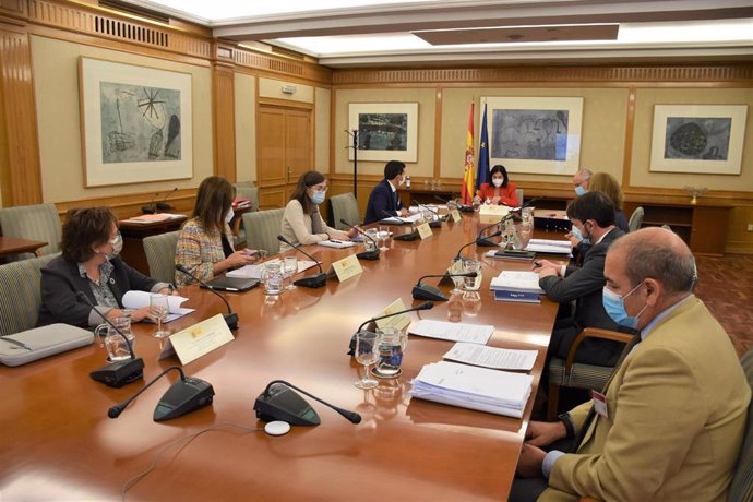 La ministra de Sanidad, Carolina Darias, preside la reunión del Patronato de la Fundación Estatal Salud, Infancia y Bienestar Social FSP, en la sede del Ministerio. A 26 de octubre de 2021 en Madrid (España).
