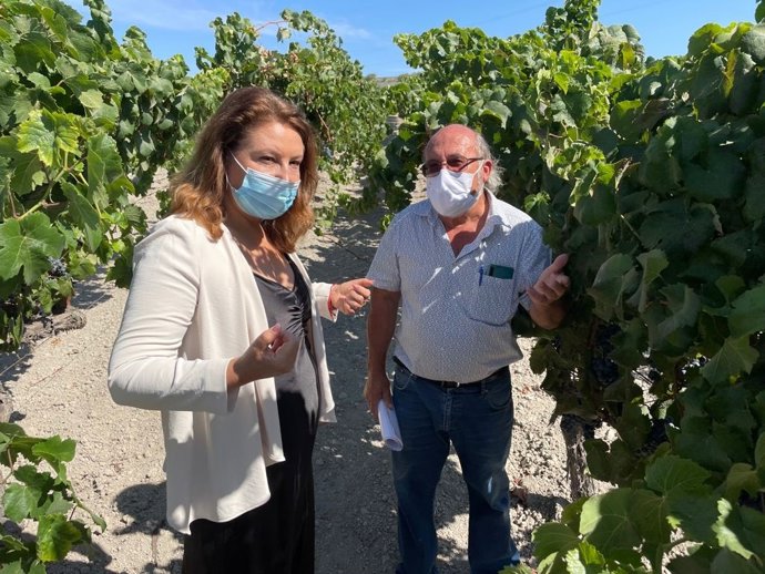 Archivo - La consejera de Agricultura, Carmen Crespo, en una imagen de archivo de su visita al centro Ifapa 'Rancho de la Merced' en Jerez de la Frontera (Cádiz).