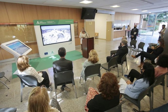 La consejera de Fomento, Marifrán Carazo, en la ETSA de la US, en la exposición con motivo de Plan Vive Tu Ciudad.
