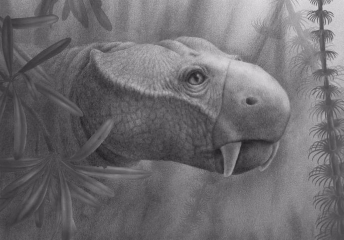 Reconstrucción de la vida de Dicynodon. Aparte de los colmillos en la mandíbula superior, la mayoría de los dicinodontos poseían un pico parecido a una tortuga que usaban para masticar su comida.