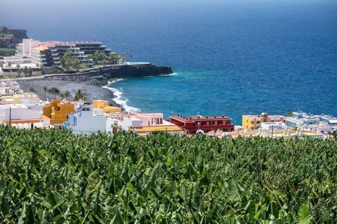 Archivo - Costa de La Palma