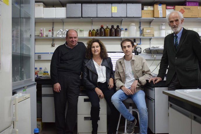 Investigadores de la Universidad de Oviedo logran predecir el comportamiento de las redes neuronales que se cultivan en laboratorio