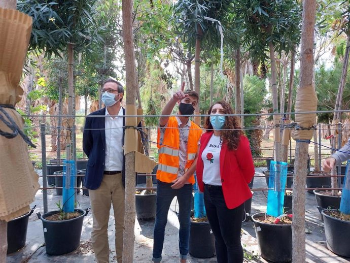 El alcalde de Palma, José Hila, y la regidora de Infraestructuras y Accesibilidad, Angélica Pastor, visitan las instalaciones del vivero donde se almacenan los árboles que se plantan diariamente en la ciudad.