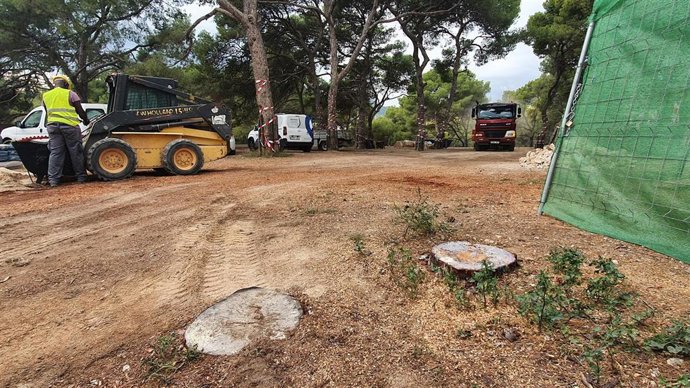 Maquinaria en el bosque de Bellver.