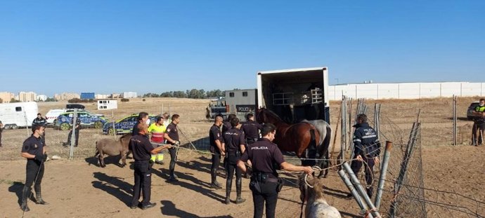 Actuación en Torreblanca