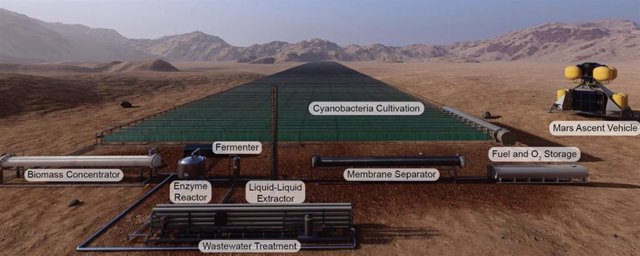 Los fotobiorreactores del tamaño de cuatro campos de fútbol, cubiertos de cianobacterias, podrían producir combustible para cohetes en Marte.