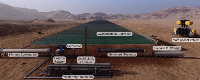 Los fotobiorreactores del tamaño de cuatro campos de fútbol, cubiertos de cianobacterias, podrían producir combustible para cohetes en Marte.