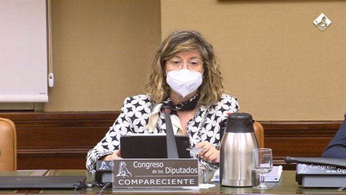 La presidenta de Adif, María Luisa Domínguez, durante su comparecencia en el Congreso