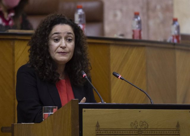 La portavoz parlamentaria de Unidas Podemos por Andalucía, Inmaculada Nieto, este miércoles durante su intervención en la primera sesión del Debate sobre el estado de la Comunidad.