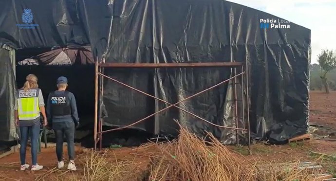 Vídeo de la noticia