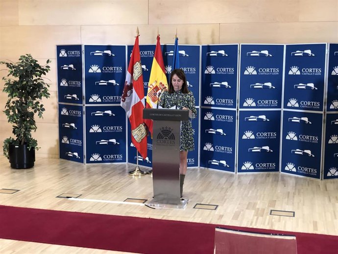 La portavoz adjunta del Grupo Parlamentario Socialista, Patricia Gómez.