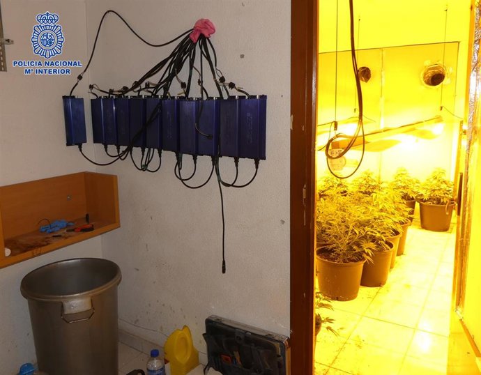 Interior de una de las viviendas registradas