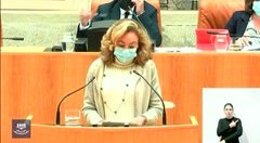 La diputada del PP, María Martín