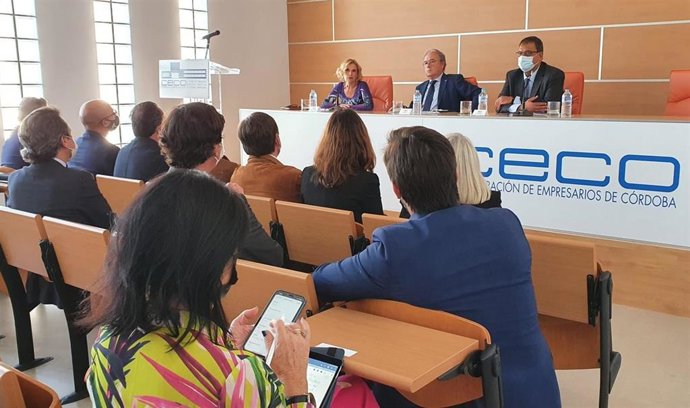 La directora del Departamento de Empleo, Diversidad y Protección Social de CEOE, Rosa Santos (al fondo, izda.) interviene la directiva de CECO.