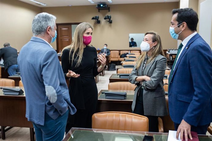 El secretaria de Estado de Energía, Sara Aagesen Muñoz (2i), conversa a su llegada a una Comisión de Transición Ecológica y Reto Demográfico en el Congreso