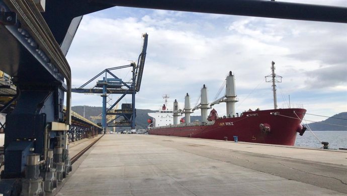 Atraca en Ferrol un buque con 20.000 toneladas de carbón para la central térmica de Endesa en As Pontes.