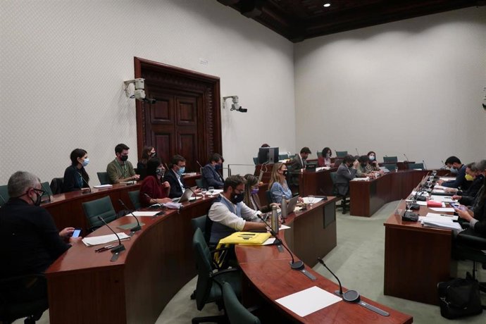 La comisión Acción Exterior del Parlament