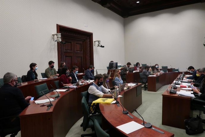 La comisión Acción Exterior del Parlament