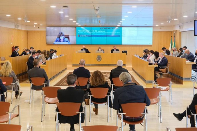 Sevilla.- El pleno de Diputación apoya a los afectados de La Palma y conmemora los 90 años del voto femenino