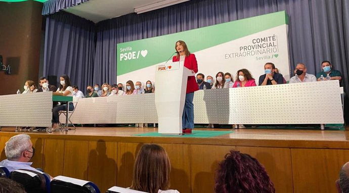 Verónica Péez ante el comité provincial del PSOE