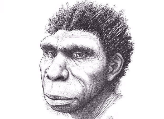 Representación artística de Homo bodoensis.