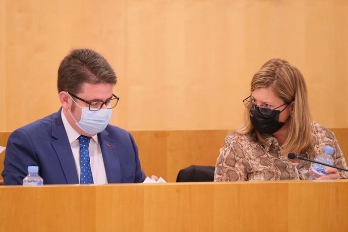 Los diputados provinciales de Cs en el pleno