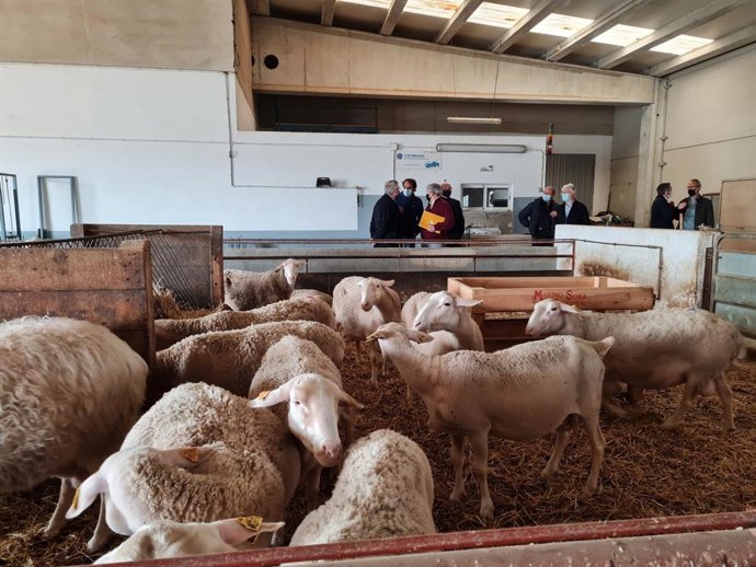Olona ha visitado la Facultad de Veterinaria.