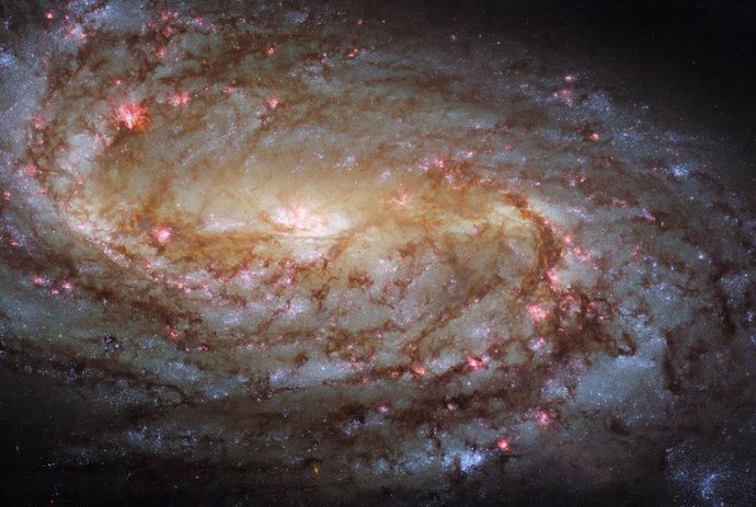 Esta brillante imagen muestra la galaxia espiral NGC 2903
