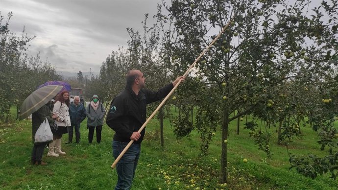 La DOP Sidra de Asturias celebra su 'Experiencia Cosecha'.