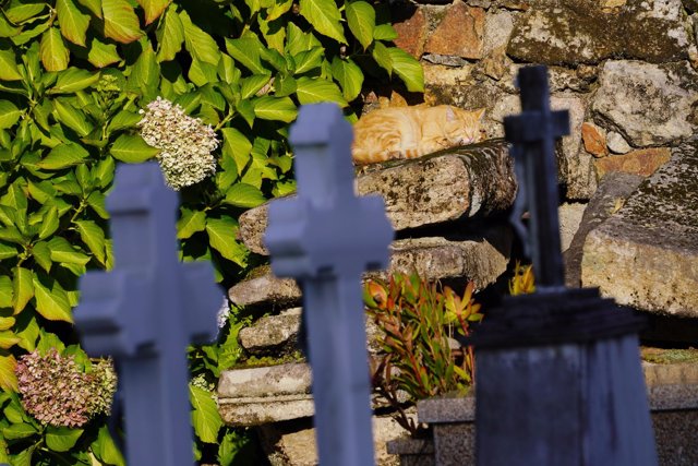 Quintana dos Mortos de Santa María A nova en Noia (A Coruña)