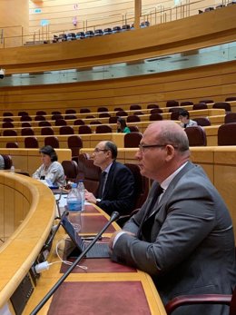 Archivo - El senador por Jaén, Javier Márquez