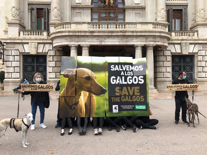 Concentración "en defensa de los galgos" este sábado en Valncia