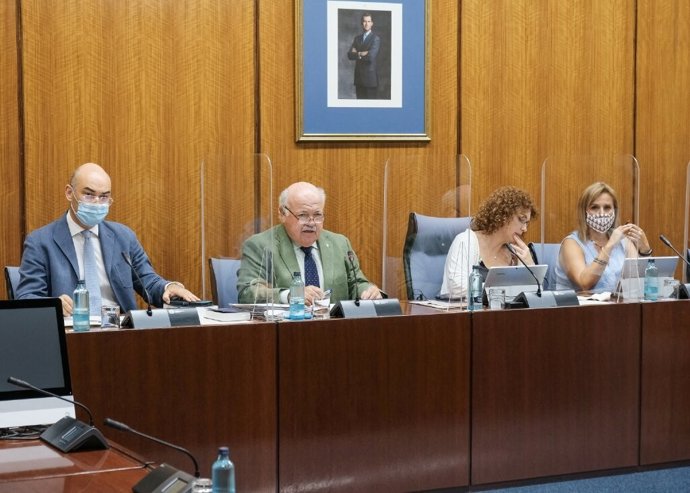 Archivo - El consejero de Salud y Familias, Jesús Aguirre, en una imagen de archivo de una comparecencia en comisión parlamentaria.