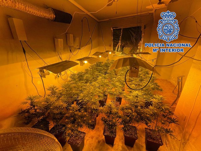 Un detenido con antecedentes acusado de cultivar marihuana en el interior de su vivienda en Almería