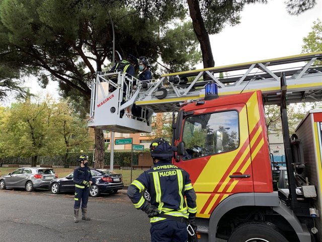Bomberos caída de ramas