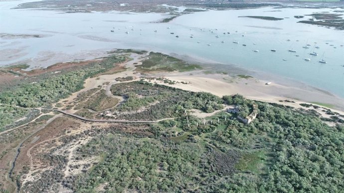 La Junta realizará trabajos para erradicar una especie invasora de cactus en el monumento de Punta del Boquerón