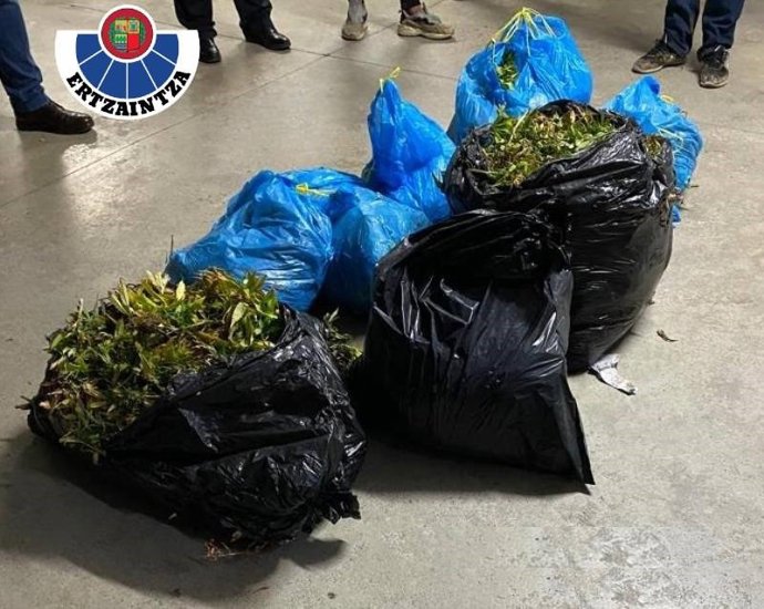 Bolsas de basura con marihuana