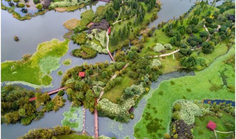 Comunicados Internacional