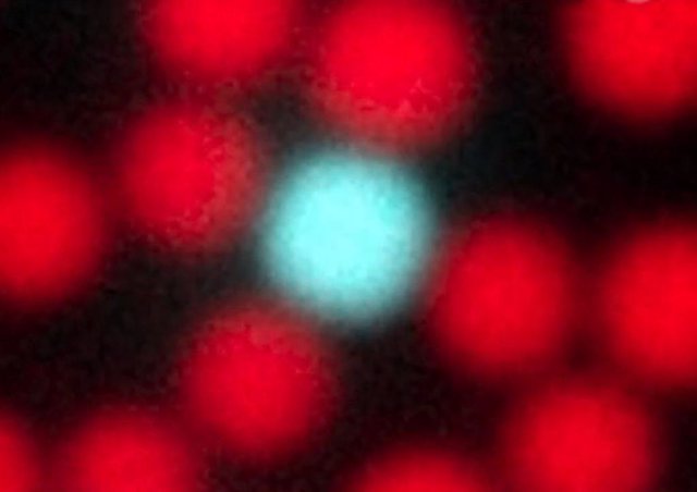 La imagen muestra un instante del proceso en cómo una partícula azul se une inicialmente a tres partículas rojas, satisfaciendo su valencia a temperatura ambiente.