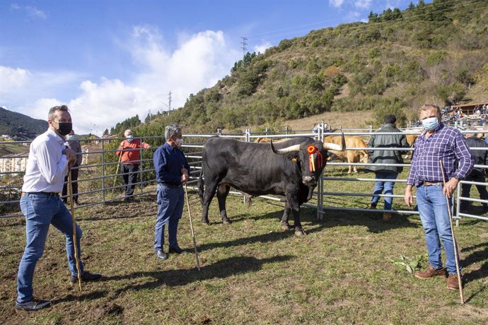 El presidente de Cantabria, Miguel Ángel Revilla, y el consejero de Desarrollo Rural, Ganadería, Pesca, Alimentación y Medio Ambiente, Guillermo Blanco, asisten a la feria ganadera de Los Santos