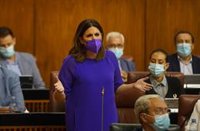 PSOE-A: La Junta "da la puntilla" a la "deteriorada" sanidad pública dejando "en la calle" a 8.000 profesionales