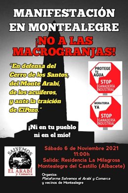 Cartel de la protesta del sábado, 6 de noviembre, en Montealegre.