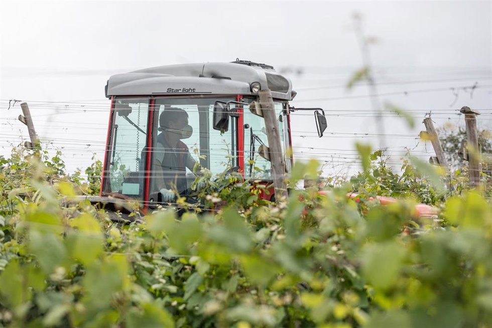 Archivo - Un trabajador montado en un tractor trabaja en los viñedos 