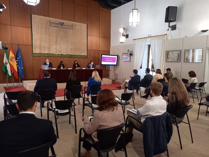La Fundación Cepaim presenta su actividad en el Parlamento andaluz.