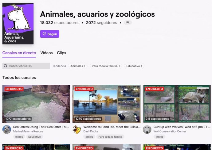 El canal 'Animales, acuarios y zoológicos'