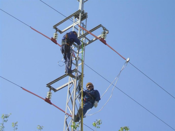 Endesa duplica sus inversiones en medidas de protección de la avifauna en Andalucía.