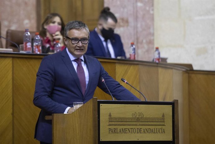 El portavoz del grupo parlamentario Vox en Andalucía, Manuel Gavira, durante su intervención en la primera sesión del Debate sobre el Estado de la Comunidad a 27 de octubre del 2020, (Foto de archivo).